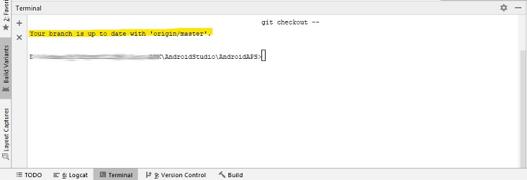GIT checkout succes