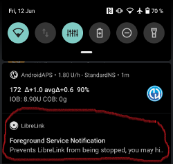 LibreLink Servicio en segundo plano