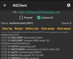 NSClient